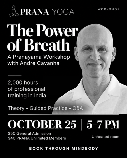 The Power of Breath - A Pranayama Workshop with Andre Cavanha